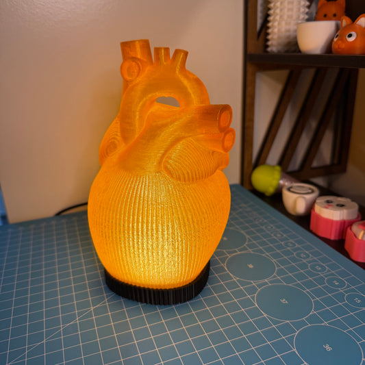 Orange Anatomische Herz Lampe