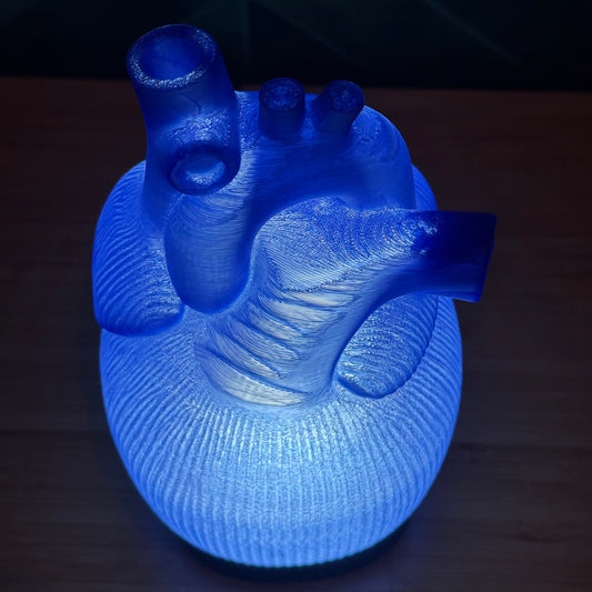 Blue Anatomische Herz Lampe