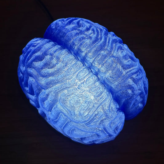 Blue Anatomische Gehirn Lampe