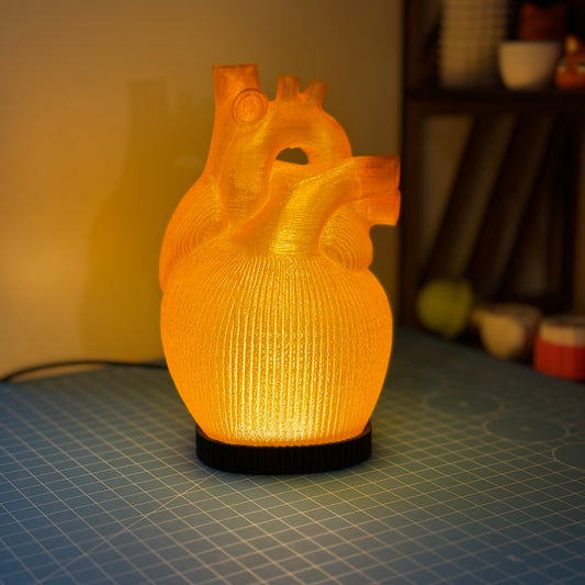 Orange Anatomische Herz Lampe