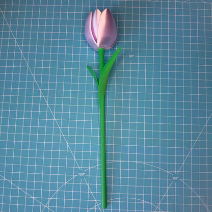 Tulpen Blumen