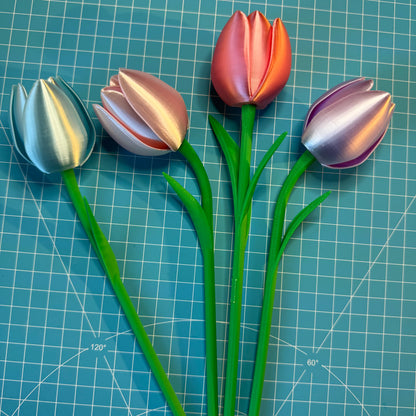 Tulpen Blumen