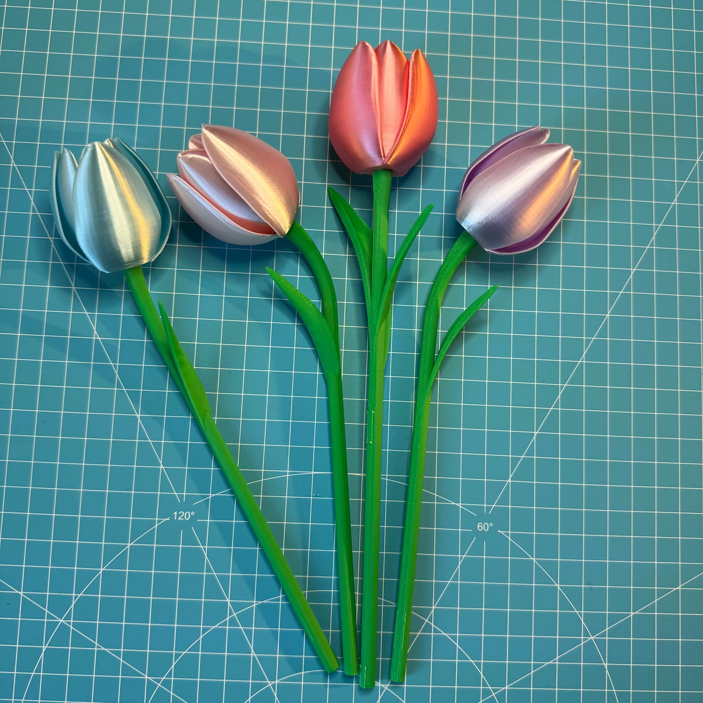 Tulpen Blumen