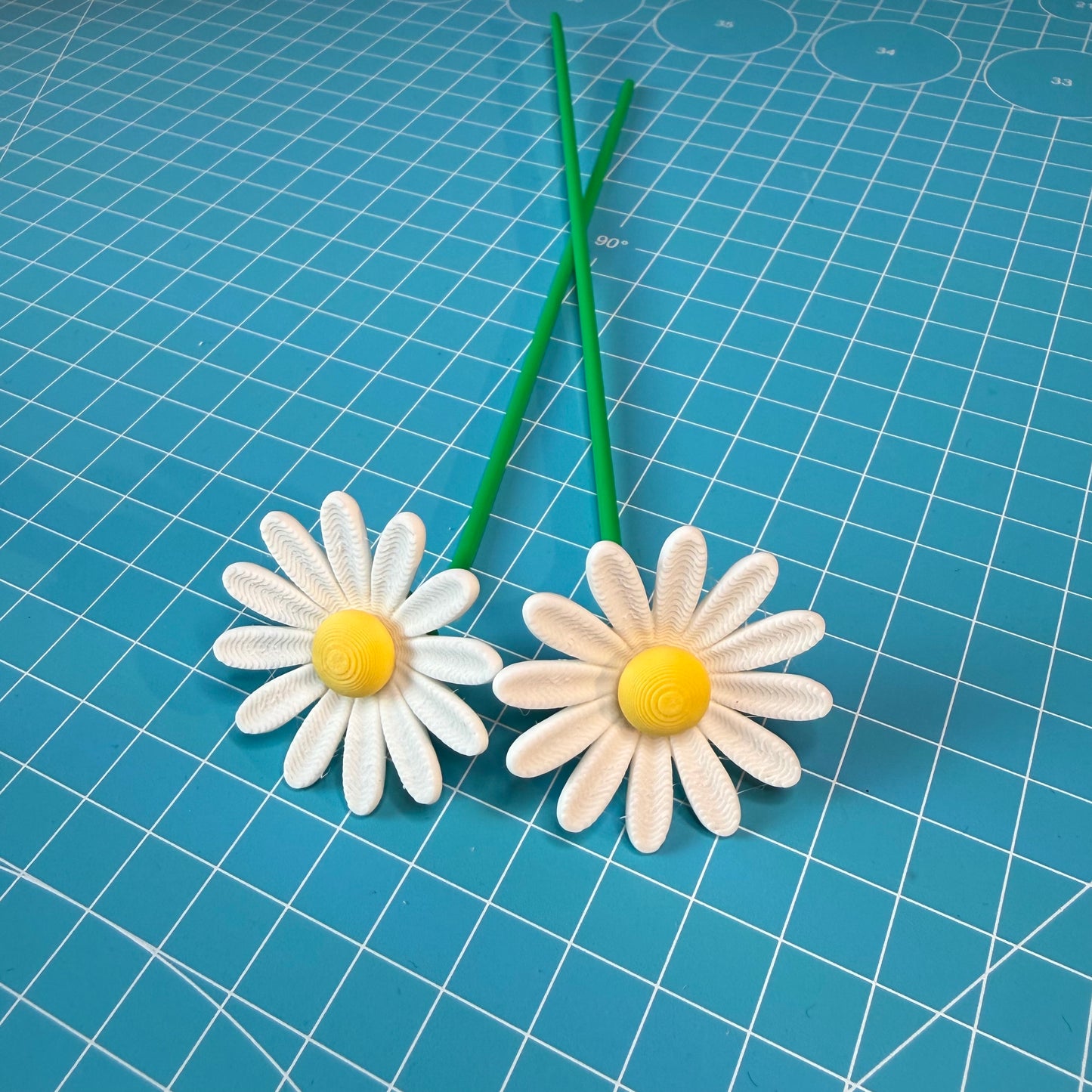 Gänseblümchen Blumen-Set