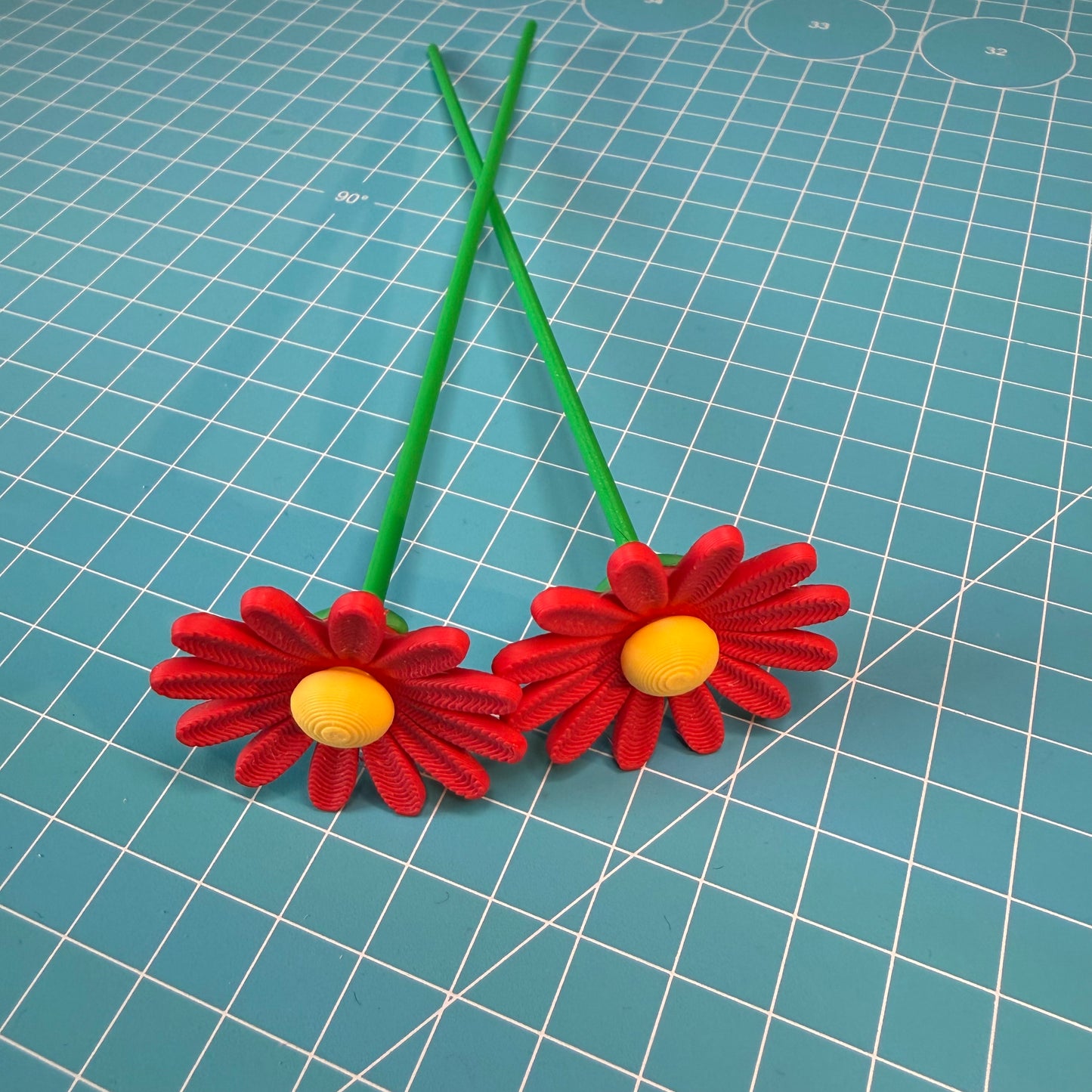 Gänseblümchen Blumen-Set