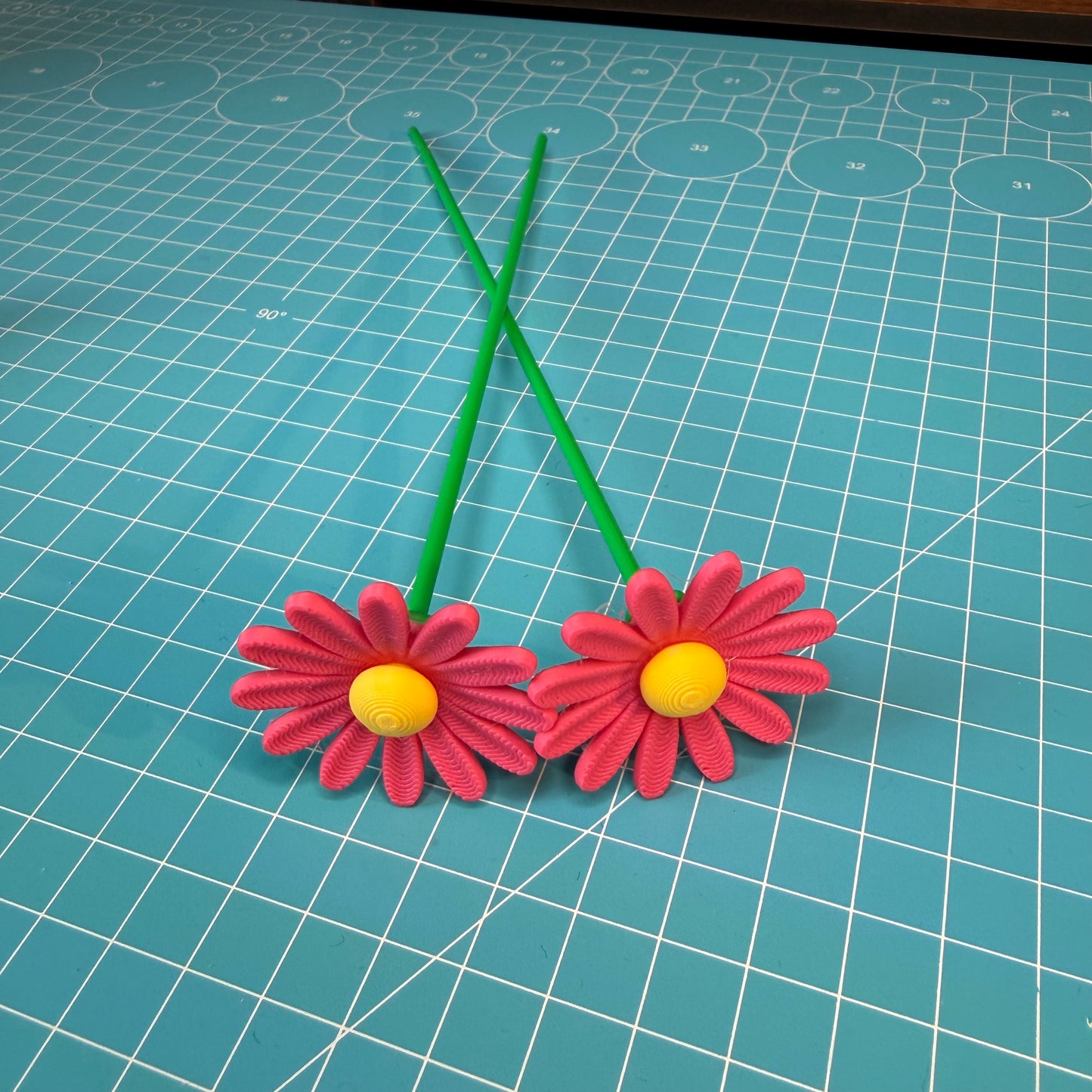 Gänseblümchen Blumen-Set