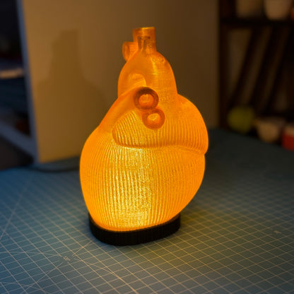 Orange Anatomische Herz Lampe