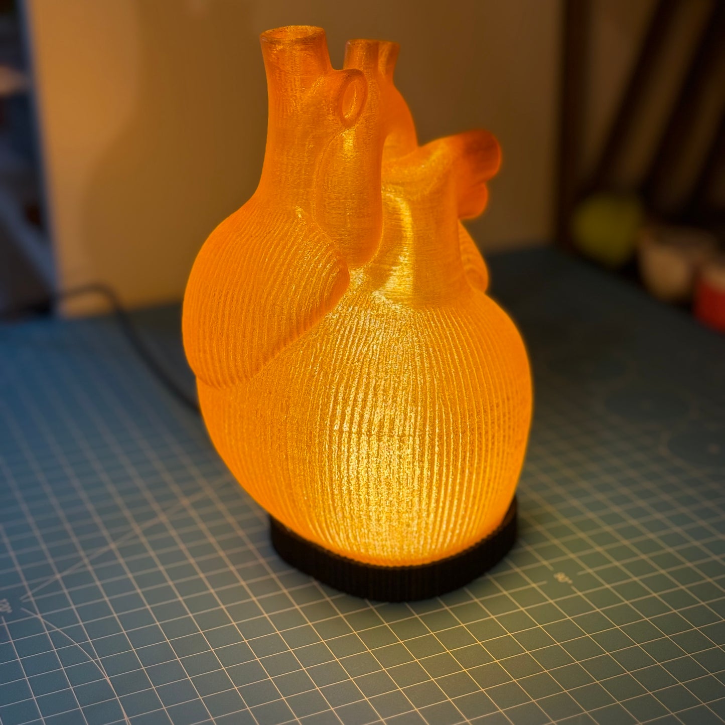 Orange Anatomische Herz Lampe