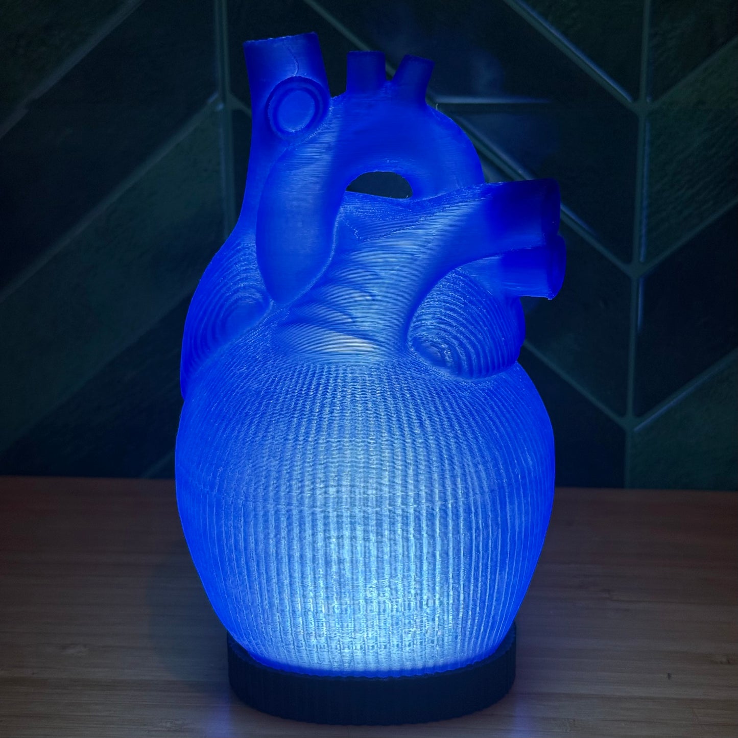 Blue Anatomische Herz Lampe