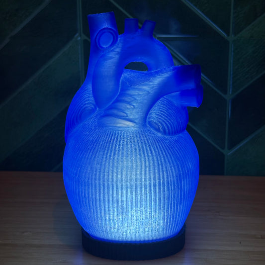Blue Anatomische Herz Lampe