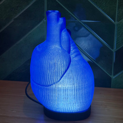 Blue Anatomische Herz Lampe