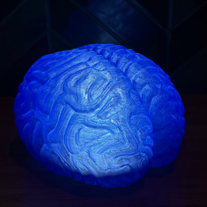 Blue Anatomische Gehirn Lampe