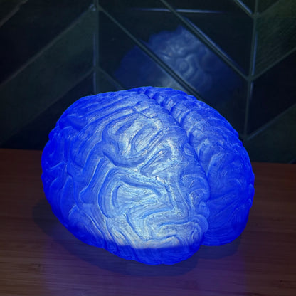 Blue Anatomische Gehirn Lampe
