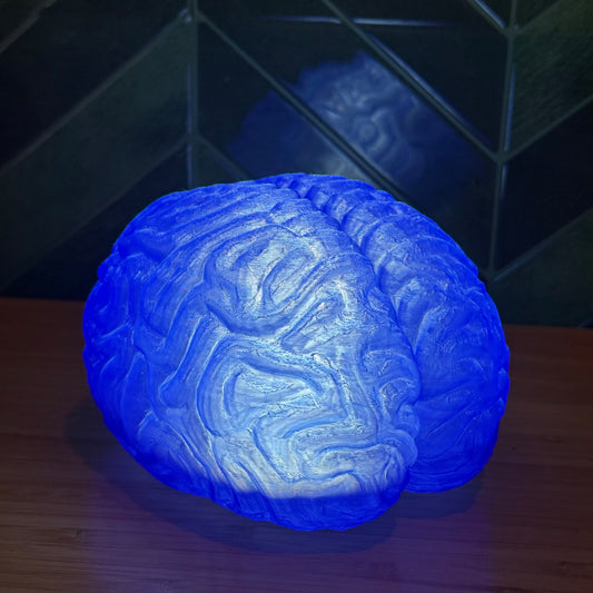 Blue Anatomische Gehirn Lampe