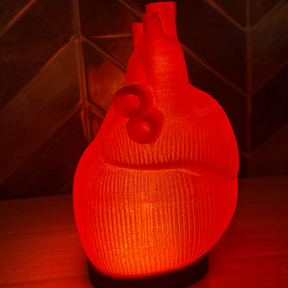 3D-gedruckte Anatomische Herz-Lampe – Rot