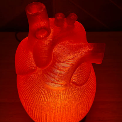 3D-gedruckte Anatomische Herz-Lampe – Rot