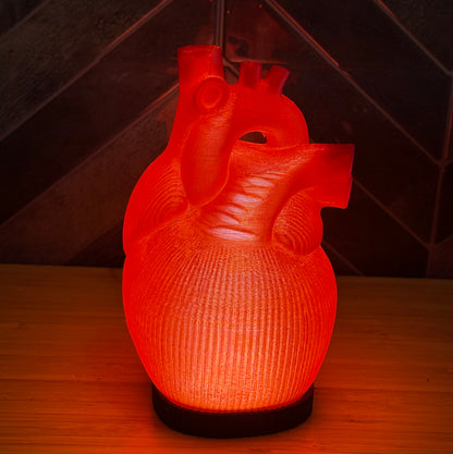 3D-gedruckte Anatomische Herz-Lampe – Rot