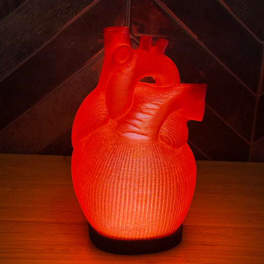 3D-gedruckte Anatomische Herz-Lampe – Rot