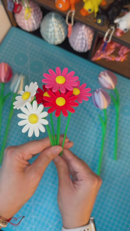 Gänseblümchen Blumen-Set